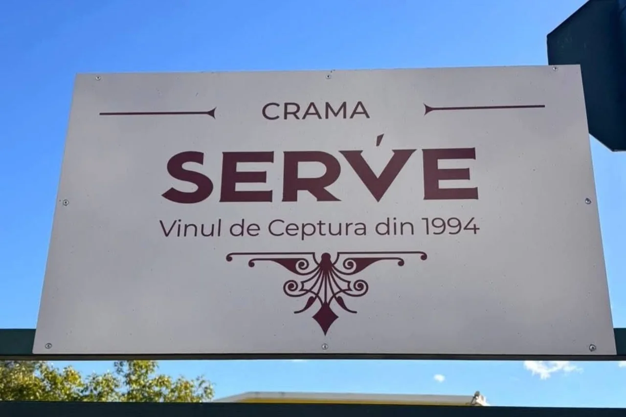 Drumeție ușoară la Năeni și degustare de vin