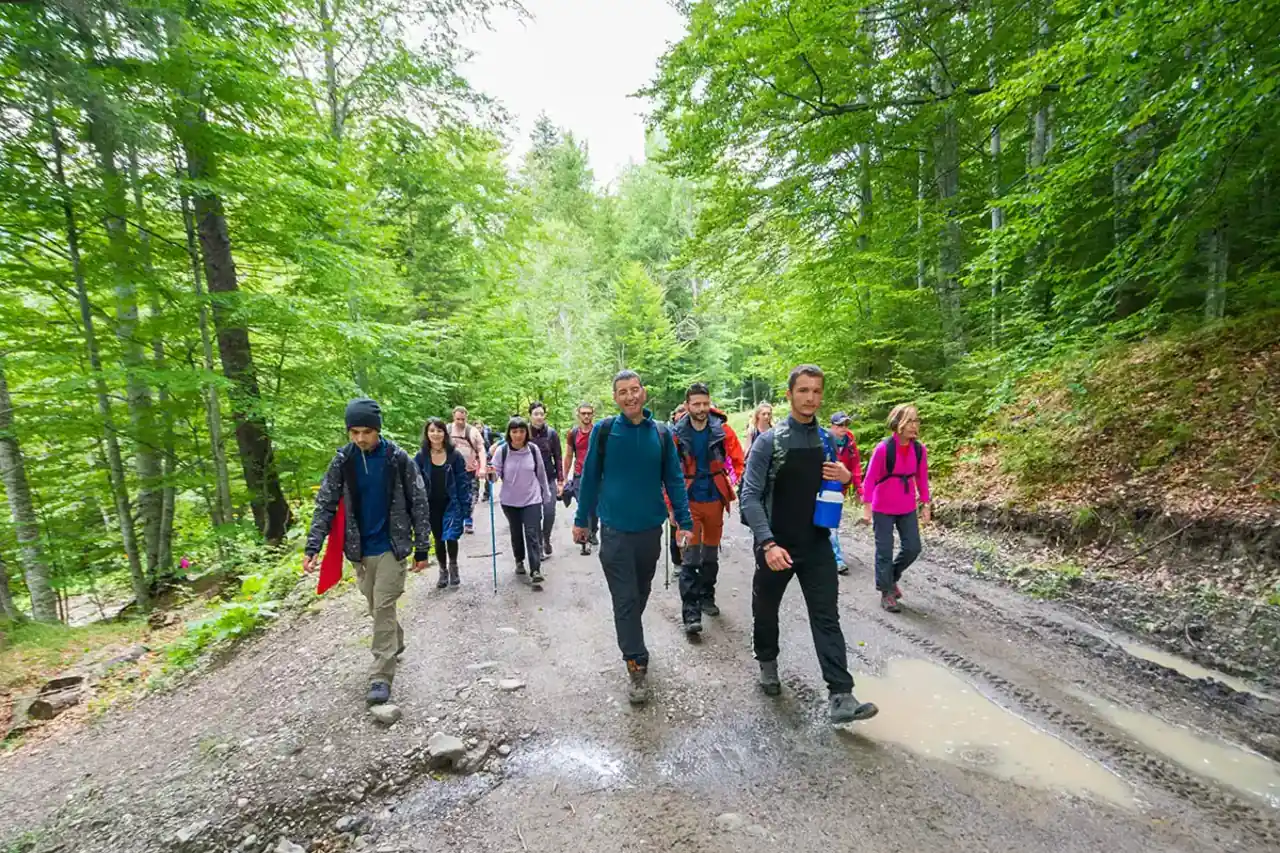 Drumeție montană în Piatra Craiului până la Cabana Curmătura